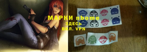 Альфа ПВП Верея