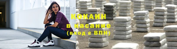 Альфа ПВП Верея