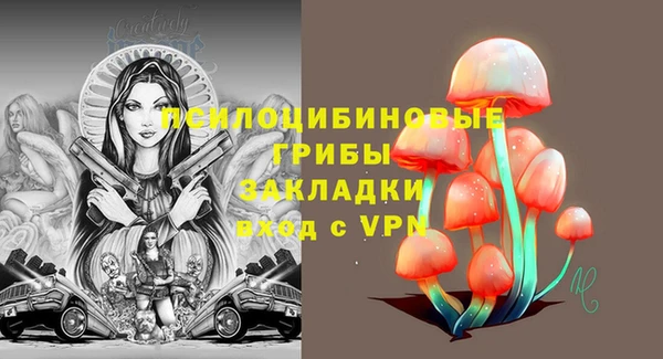 Альфа ПВП Бугульма